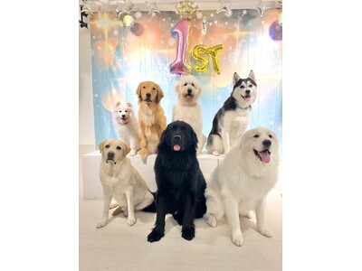 大型犬カフェPawsFanが開業1周年。サモエド「いろは」が新加入、GWイベントも開催