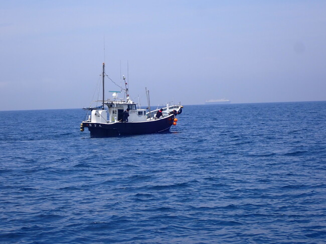 深海1,000m級に沈めた海藻を回収　国内初の成功