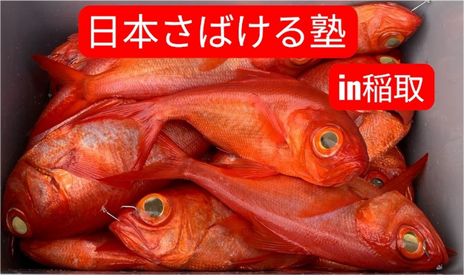 キンメ漁発祥の地で金目鯛を捌いて稲取名産『金目鯛の味噌漬け』を作ろう!『日本さばける塾 in 稲取』を開催!