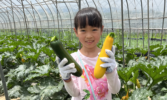 「やさい博士ツアー」開始（7/25～）教育型収穫体験を夏休みの自由研究に！【長野 八ヶ岳】