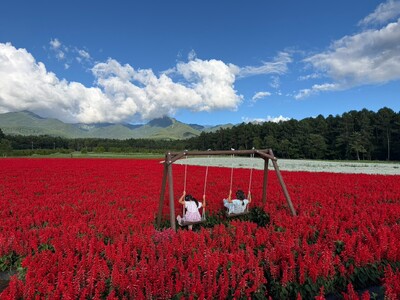 10ha�̉Ԕ��̒��Ɂg��i�u�����R�h�V�o��B�����x�ƐԃT���r�A����]�ł���I�S���C���G���A�����J�y�����x�_�Ƒ�w�Z�uYATZ GARDEN�i���b�c�K�[�f���j�v�z