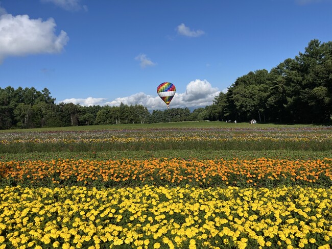 花畑気球体験!10haの花畑と八ヶ岳の絶景を空から満喫(8/23限定開催)【八ヶ岳農業大学校「YATZ GARDEN(ヤッツガーデン)」】