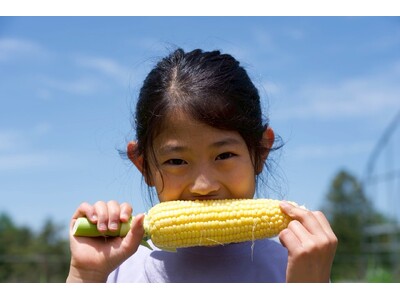 「AI副校長」のサポートのもと、学生・職員が手塩にかけて育てた高原野菜を直売所で販売中！【八ヶ岳農業大学校】