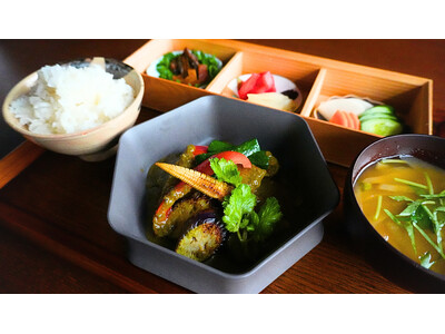 【創業230年の革新】漬物老舗「河村屋」が、「薬膳グリーンカレー」を提供開始。漬物職人の発酵技術と和出汁...