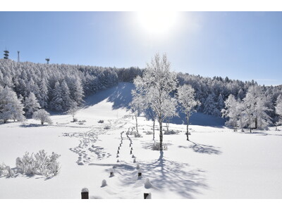 長野・富士見町｜スキーと入笠山スノートレッキング、目的に合わせて選べる冬の楽しみ方