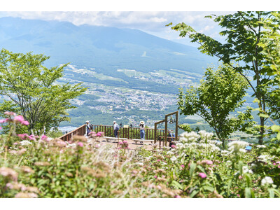 涼と花の頂へ。入笠山の“涼眺百花（りょうちょうひゃっか）”。夏の絶景と花時間