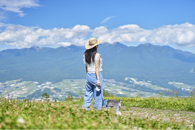 富士見パノラマリゾートで楽しむ、愛犬との涼やかな高原時間。登山・ランチ・音楽・星空も満喫