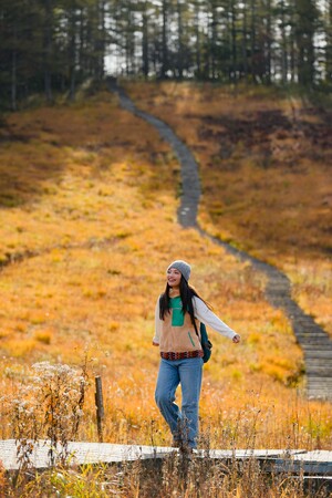 ”秋のトリプル絶景”ー入笠湿原が黄金色に染まる”草紅葉”。紅葉ゴンドラで“三段紅葉”の眺望。早朝は土日祝限定の”プレミアム雲海ゴンドラ”で朝焼けの雲の海へ-