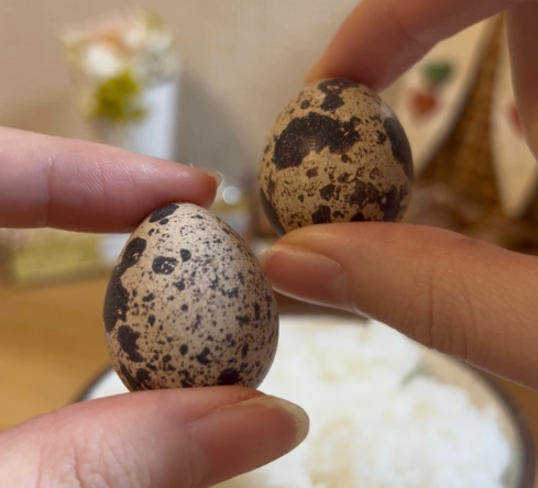 年始の『うずら卵余剰』による廃棄危機を救う。愛知県の養鶉農家がフードロス削減に向けた“生卵セット”の緊急販売を開始
