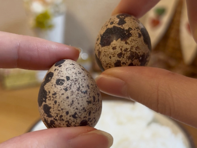 年始の『うずら卵余剰』による廃棄危機を救う。愛知県の養鶉農家がフードロス削減に向けた“生卵セット”の緊急販売を開始