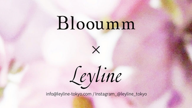 プレスリリース「渋谷「Blooumm... 展」6/28(土),29(日)ポップアップストア出店【花屋 Leyline（レイライン）】」のイメージ画像
