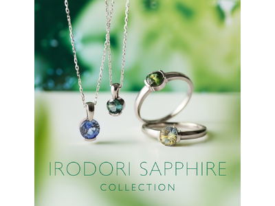 スリランカの光をまとう 