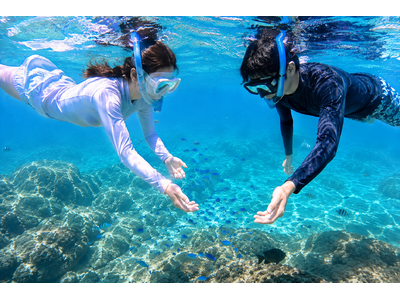 夏はまだまだ終わらない！9月1日より御座白浜でご宿泊者様限定のシュノーケリングツアーがスタート！透明度が...