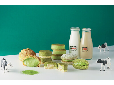 【あさぎり牛乳】「静岡抹茶シリーズ」3月より発売！富士山麓ミルク × 静岡県産抹茶の春スイーツ
