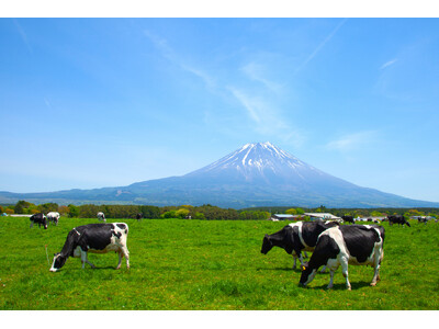 【あさぎり牛乳】日本の空の玄関口・羽田空港に初出店！91日間の長期催事が決定