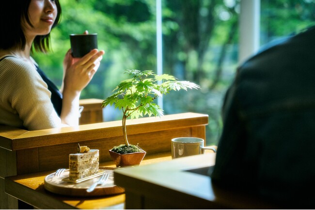 【箱根リトリート fore & villa 1/f】雨音と緑が、滞在の記憶をかたちにする。若年層にも広がる盆栽文化を、滞在体験として提案