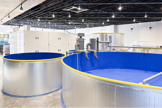 水耕栽培×陸上養殖「アクアポニックス」を見学できる施設を岡山県倉敷市に開設