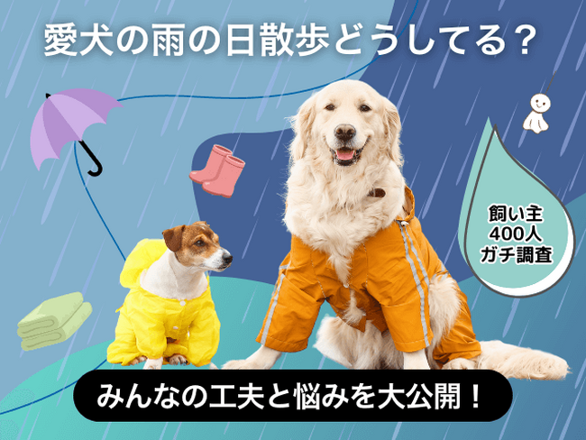 【飼い主400人に調査】梅雨の犬の散歩事情、“小雨だけ行く”派が最多に。困りごとの1位はやっぱりアレ！