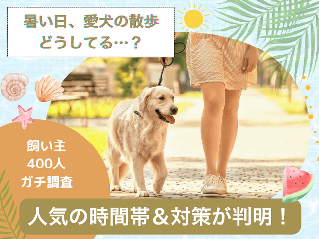 【飼い主400人に調査】暑い日の愛犬の散歩をどう乗り切る？人気の時間帯は意外にも“あの時間”！
