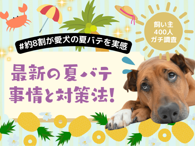 【飼い主400人に調査】今年の猛暑で8割の犬が体調不良に！体調変化から見えた“夏バテ対策のリアル”とは