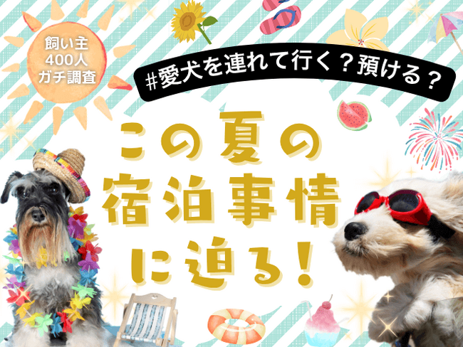 【飼い主400人に調査】夏の旅行、愛犬は一緒？預ける？みんなのリアルな選択とは！