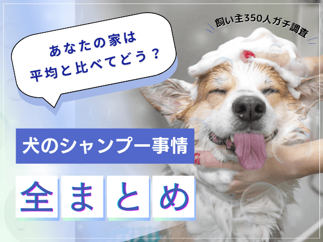 【飼い主350人に調査】あなたの家庭は多数派？愛犬のシャンプー事情で分かった意外な傾向