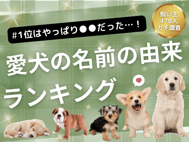 【飼い主478人に調査】やっぱり一番は●●だった！愛犬の名前に隠された由来ランキング