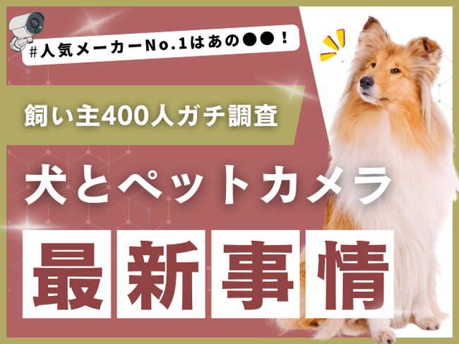 【飼い主400人に調査】犬とペットカメラ、利用率はまさかの●割！人気No.1メーカーも明らかに