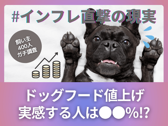 【飼い主400人に調査】約●割がドッグフードの値上がりを実感！でも「変えない」人が多いワケとは？