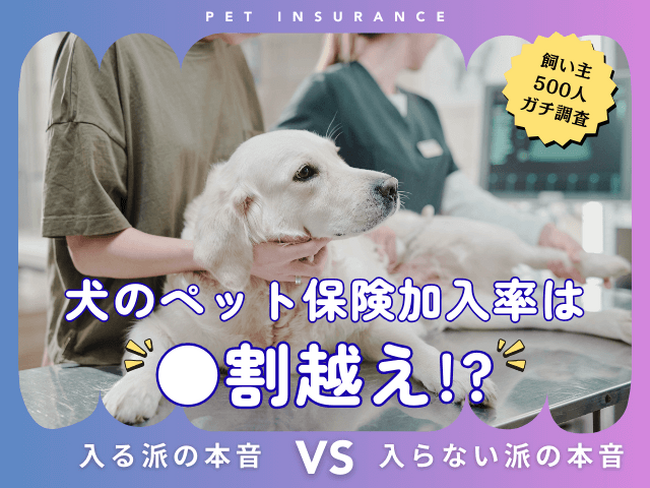【飼い主500人に調査】犬の保険加入率は驚きの●割超え！「もしも」に備える人が急増中