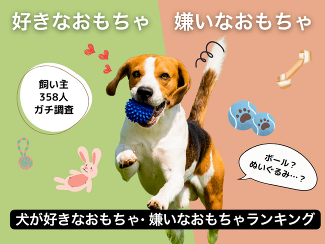 【飼い主358人に調査】犬が好きなおもちゃ・嫌いなおもちゃTOP10！リアルな声から見えた、おもちゃ選びのヒントとは？