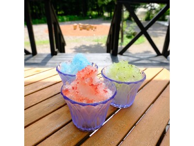 【夏季限定】かき氷が食べ放題のグランピングが登場！夏の那須で涼しくととのう非日常体験を【NAGOMI CAMP那須】
