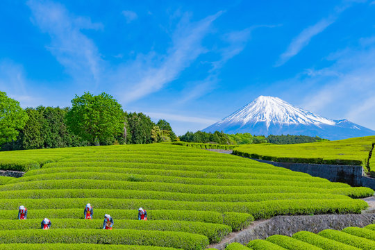 【地方創生をビジネスへ】ユーグレナ創業者率いるニホンノチカラと共創開始