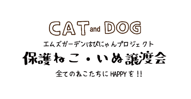 売上全額を保護活動費へ。宮崎の寝具メーカー菱友、規格外のペット用寝具を譲渡会に寄贈する支援を開始