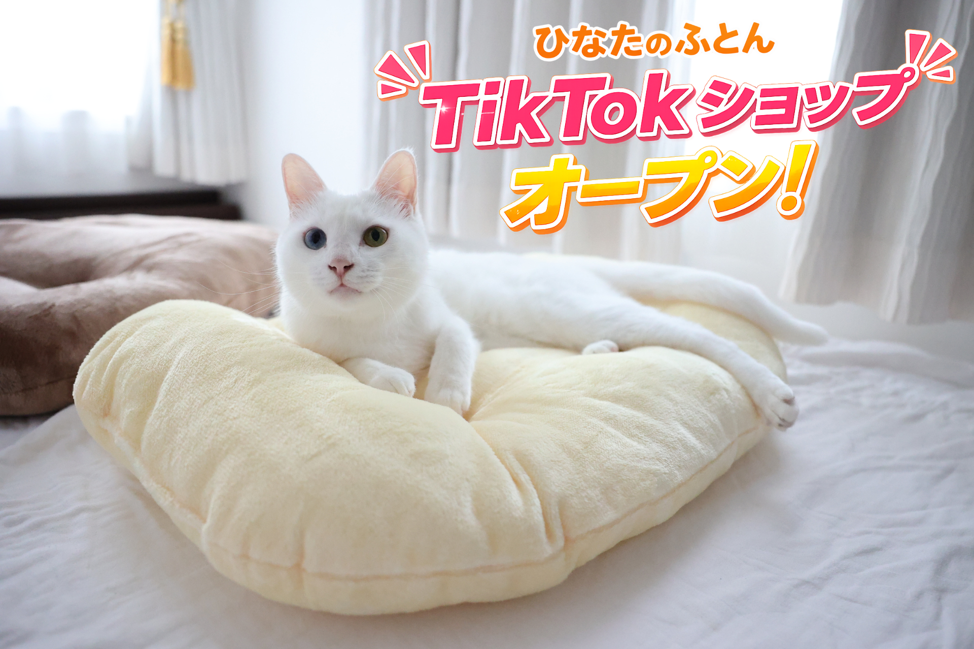 「日本のひなたで作る、日本製のおふとん」を出来たてでお届けしている「ひなたのふとん」の菱友、動画から直接買える「TikTok Shop」を5月7日より開設！