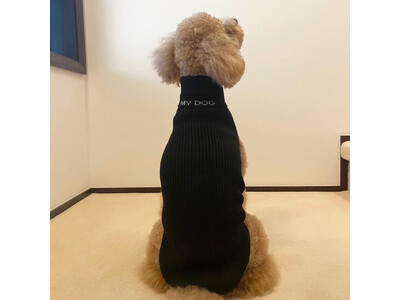 【イタリアン・ペットファッションショー】ミラノ発のペットファッションブティック「DolcePet」が「在日イタリア商工会議所（ICCJ）」にて愛犬と共に特別な時間を過ごすスペシャルイベントを開催。