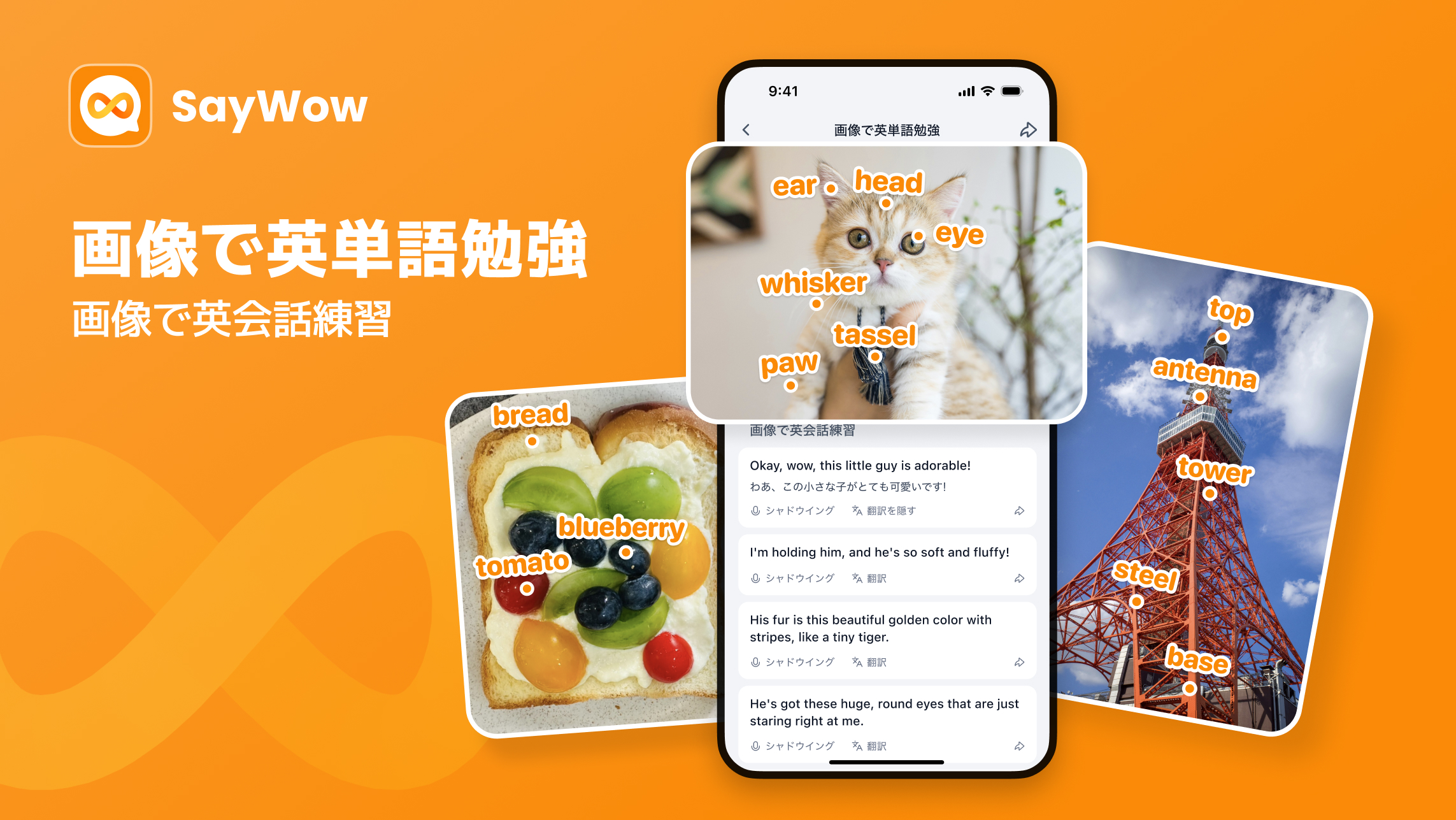 写真を撮るだけで英語が学べる！目の前のモノが教材になる新機能「単語図鑑」、SayWowから登場