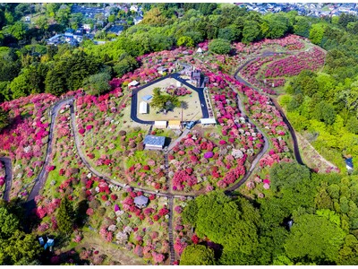 今年の春は笠間へ！花旅「あたご山桜まつり」と「笠間つつじまつり」
