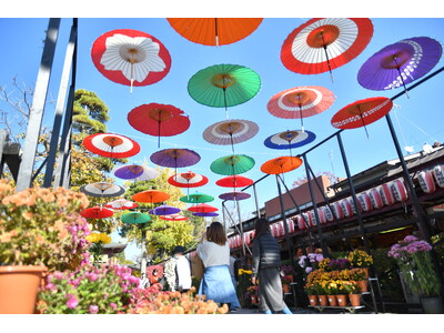 【茨城県笠間市】日本最古の菊の祭典「第119回 笠間の菊まつり」開催中！