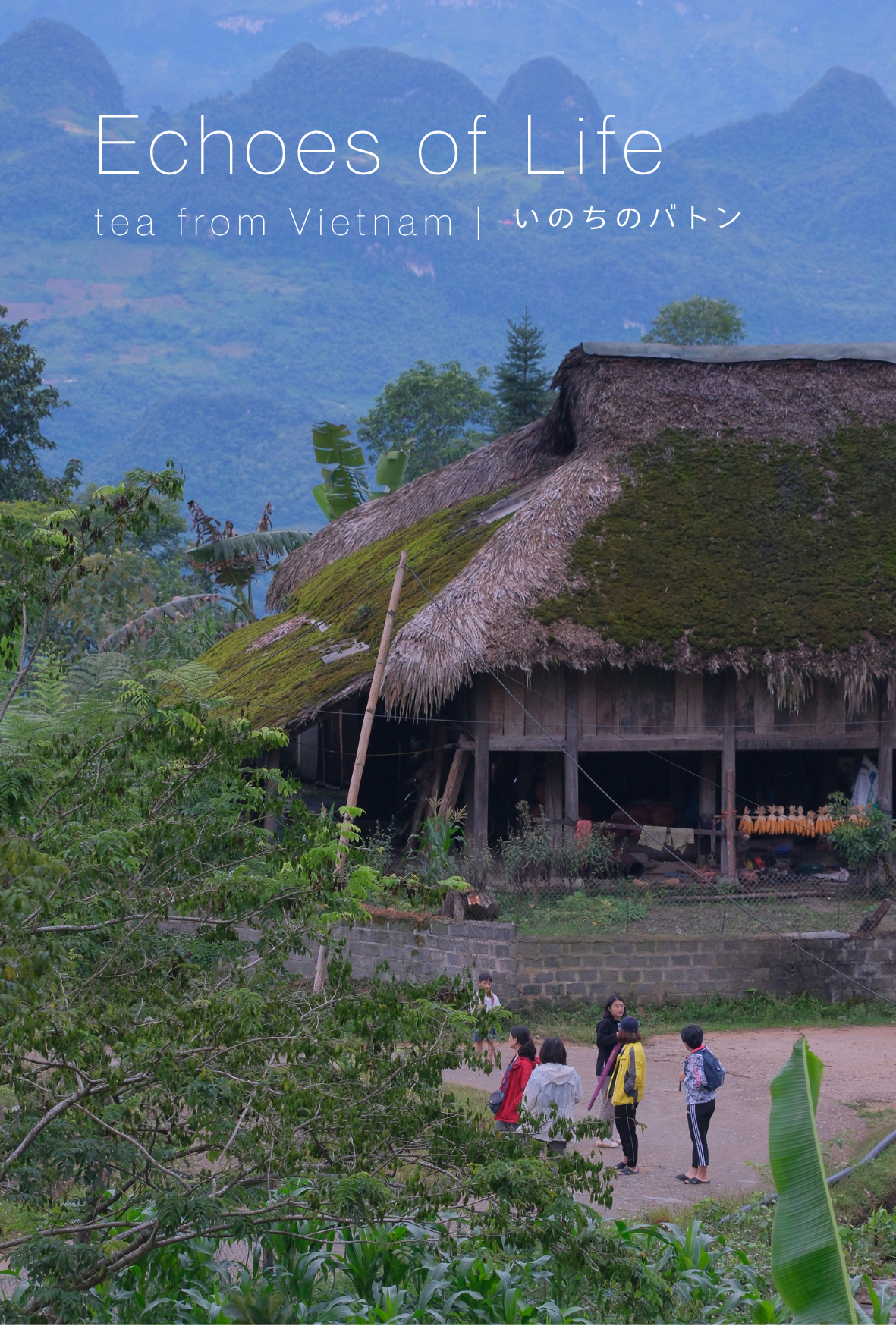 日越巡回写真展『Echoes of Life | Tea from Vietn…