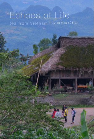 日越巡回写真展『Echoes of Life | Tea from Vietnam いのちのバトン』2026年8月より開催