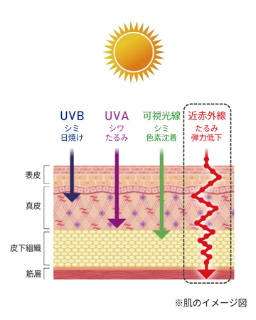 熱中症や肌のたるみを引き起こす「近赤外線」を大幅にカットする日本製UV&Heatプロテクトアンダーシャツを発売