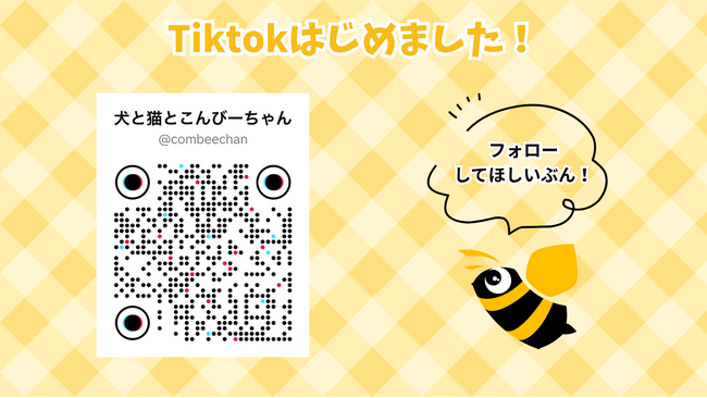 可愛い蜂が犬や猫にもてあそばれる！？シュールで過酷なチャレンジを更新！株式会社コンビーズがTikTok開設。
