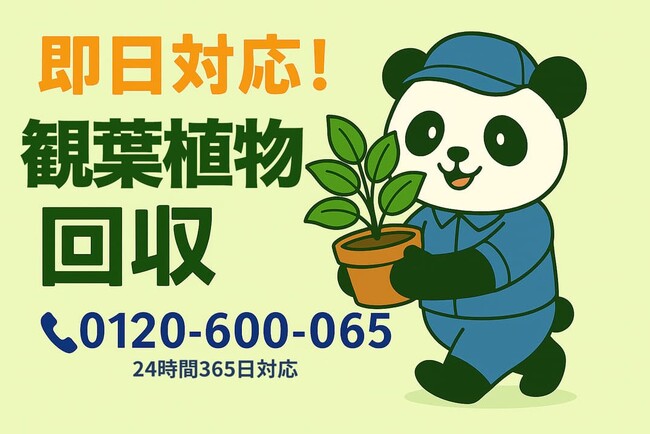 【町田市限定】ホコリまみれの観葉植物3点以上で1,500円OFF！9月限定ベランダすっきりキャンペーン｜不用品回収のまるっと本舗