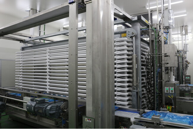 【Answers/事例紹介】持続可能な未来へ向けて「ヤマイチ水産」が冷凍工場新設。すり身業界初の製品凍結完全自動化ラインで省人化・省力化を実現【前川製作所】