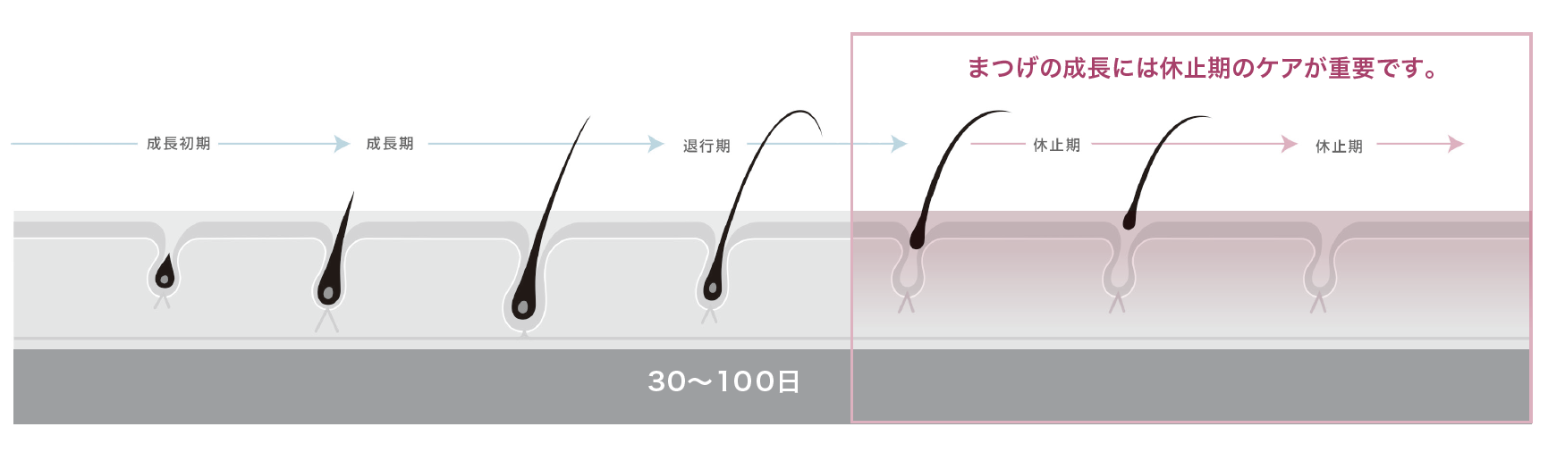ヒト幹細胞培養液配合のまつげ美容液「アクティバート　SCラッシュセラム」を発売