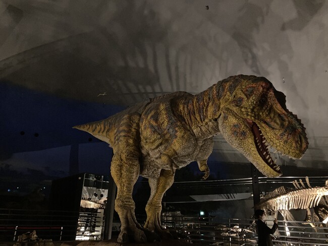 【ホテルハーヴェストスキージャム勝山・福井県勝山市】福井県立恐竜博物館で夜の恐竜探検へ！ 1 日限定の「ナイトミュージアム特別宿泊プラン」が登場