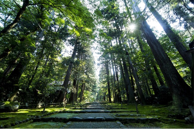 【JAM福井勝山東急ホテル＆リゾーツ】白山平泉寺の静かな朝、蛍が舞う夜。初夏の勝山で、自然と文化に触れる「宿泊者向け体験プログラム」を展開