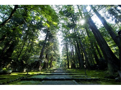【JAM福井勝山東急ホテル＆リゾーツ】白山平泉寺の静かな朝、蛍が舞う夜。初夏の勝山で、自然と文化に触れる...