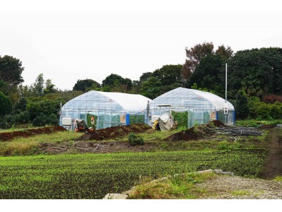 【Sakai】　おまとめ2点 26.5】Nike x sacai Zegamadome white